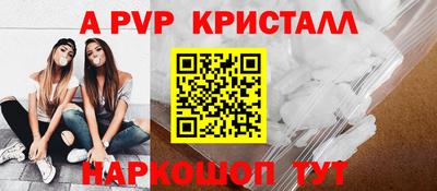 стаф Кинель