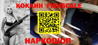 крисы Кингисепп