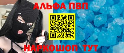 крисы Кингисепп