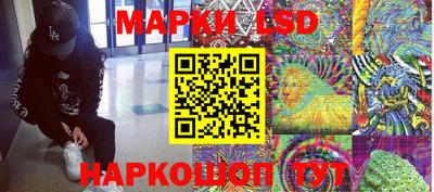 крисы Кингисепп