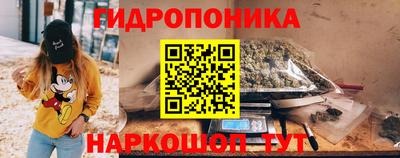 a pvp Кимры