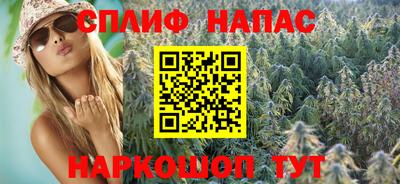 стаф Кинель