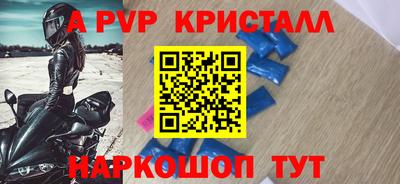 крисы Кингисепп
