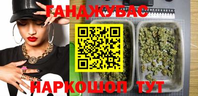 крисы Кингисепп