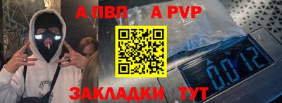 крисы Кингисепп