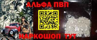 крисы Кингисепп
