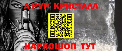крисы Кингисепп