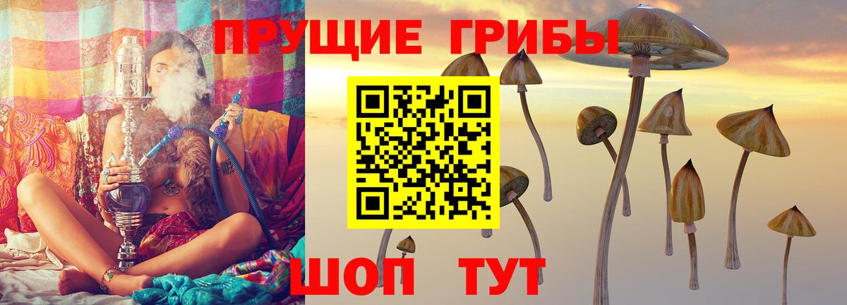 Псилоцибиновые грибы Psilocybine cubensis Кудрово